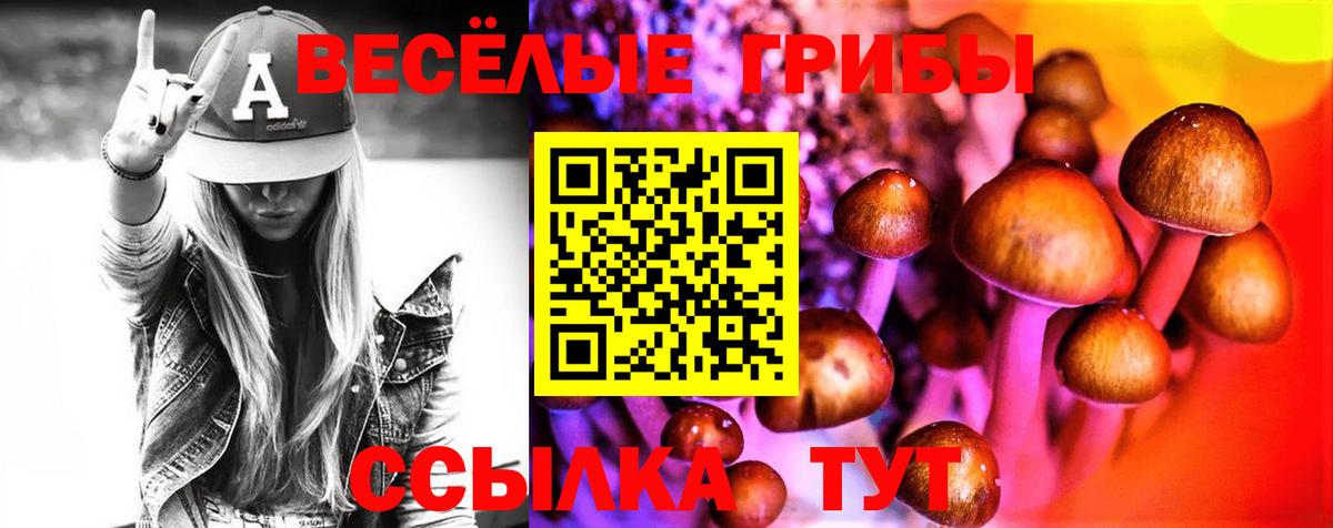 Галлюциногенные грибы мухоморы Петрозаводск