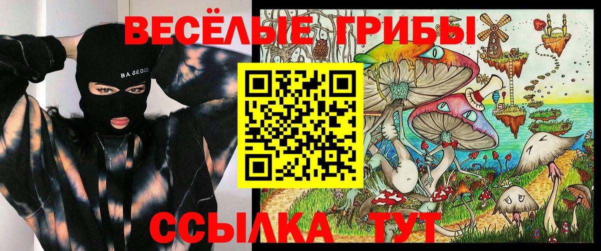 Галлюциногенные грибы GOLDEN TEACHER  Вход с VPN  где найти   Петрозаводск 